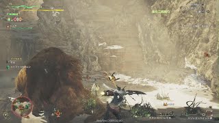 Monster Hunter Wilds Beta test コントローラー壊れているので画面がぐるぐるします。