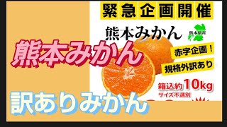 熊本みかん 訳ありみかん 赤字企画 規格外訳あり箱込みで10キロ qoo10 メガ割で購入