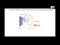 Proteomics Focused Bioinfornatics Workshop 2021 - Basics of Mass Spectrometry  - Stephanie Byrum PhD