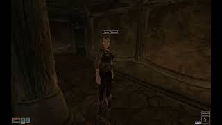 Elder Scrolls 3 Morrowind ##5 Stealing ^^ and leveling