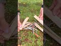 now you know how to do it 😉 bushcraft outdoors knife drink subscribe asmr lifehacks short