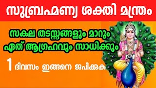 അനേകം പ്രശ്നങ്ങൾക്ക് പരിഹാരം.ആഗ്രഹ സാദ്ധ്യം.രണ്ടുവരി സുബ്രഹ്മണ്യ മന്ത്രം.sri Subrahmania Mantra.