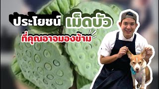 ประโยชน์ของเม็ดบัว ที่หลายคนอาจมองข้าม!! - Book Kitchen ครัวเชฟบุ๊ค