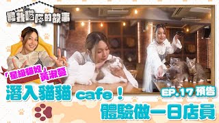 尋找喵喵的故事 ｜EP17｜預告｜ 潛入貓貓Cafe！體驗做一日店員 ｜Feanna Wong 黃淑蔓｜HOY TV