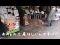 奈良公園　鹿さんと奈良マラソン　deer and nara marathon　nara park japan