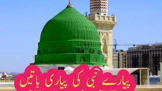 پیارےنبی کی پیاری باتیں|اخری رسول کی پیاری باتیں |سیرت النبی کی زندگی |SRislamicvoice