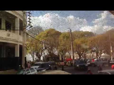 Billions of locusts swarmed Madagascar’s capital Antananarivo