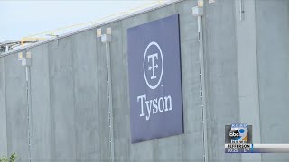Fired Tyson manager speaks out over COVID "betting" pool