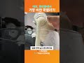 편의점에서 가장 비싼 막걸리는 어떤 맛일까?!