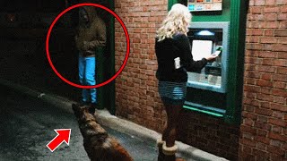 This Bad Man Wants to Attack Woman at ATM, But He Didn't Know That Her Dog Is a Cop!