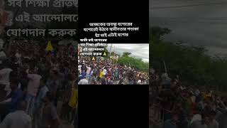 সবাই এগিয়ে যাও #viralvideo #foryou #কোটা_আন্দোলন #কোটা_সংস্কার #bnp #youtubeshorts