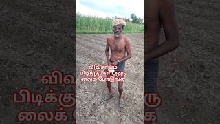 பசி வந்தால் பணத்தை சாப்பிட முடியாது #agriculture #shortsfeed #tnagriculture #vivasayi #villagelife