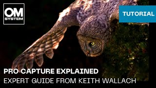 Pro Capture Explained | Expert Guide from OM SYSTEM Ambassador Keith Wallach