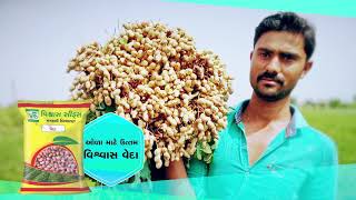 Vishwas Agri Seeds