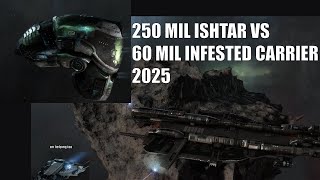 2025 How to kill infested carrier with Ishtar and ibis