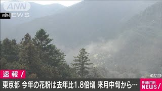 都内の花粉は去年比1.8倍　聞くだけで目がかゆい・・・(2021年1月21日)