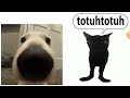 turi ip ip ip vs duhtototototo (@Techlin) (@pinkdisc2555)