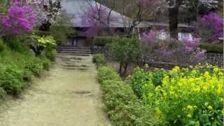 花のお寺　龍珠院