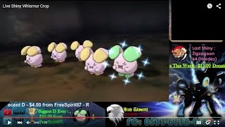 Live Shiny Whismur In Pokemon ORAS After 4 Encounters via Horde Hunting