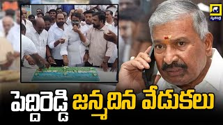 చిత్తూరు జిల్లా పుంగనూరులో పెద్దిరెడ్డి జన్మదిన వేడుకలు | pungunurupeddhireddy | Chittoorjilla