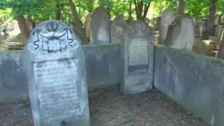 Cmentarz żydowski w Tarnowie. Jewish cemetery in Tarnów.