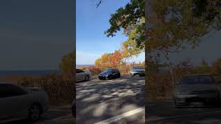 Tunnel of trees #michigan #automobile #r32 #cartok #jdm #miata #350z #turbo