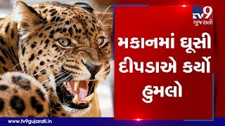 Chhota Udaipur:  Leopard entered residential house and attacked three, injured shifted to hospital