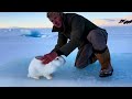 man helps mother rabbit completely remove beehives from her body