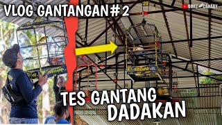 VLOG Tes gantang kenari Zilong pakai kandang baru