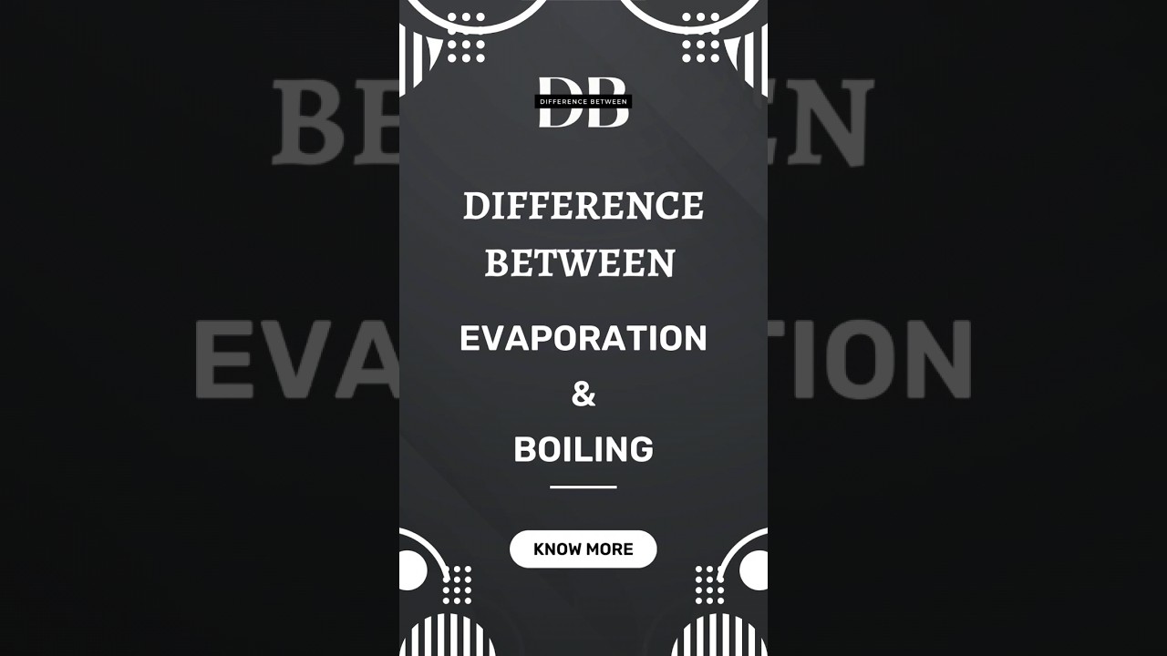 Difference Between Evaporation And Boiling | The Power Of Heat ...