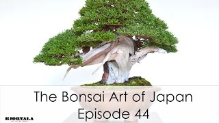 The Bonsai Art of Japan  - Episode 44