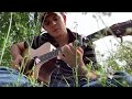wallflower - live from the backyard (ft. a special four-legged guest)