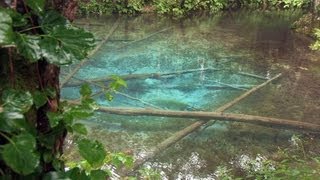 【北海道の絶景】北海道の秘境　神の子池　Unexplored region　Gift from GOD.