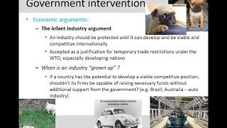 Week 6- Arguments for Government Intervention