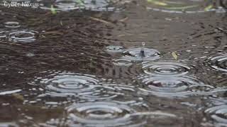 水溜りに落ちる小雨が織りなす水波紋に見入る雨模様の一日