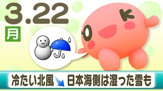 冷たい北風で日本海側は湿った雪も　北海道２２日午後から