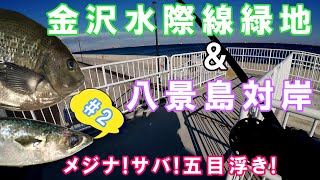 【メジナ、サバ、メバル】やっぱり金沢は豊かな海や。。。【金沢水際線緑地】#メジナ #メバル #サバ #浮き #福浦 #八景島 #釣り