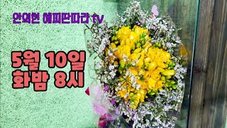 안의현의 해피딴따라TV  5월 10일 화밤 8시