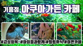 [🌠감성힐링] 😉기흥 아쿠아가든에서 귀여운친구과 함께하는 마지막 힐링시간~🌺 (#귀욤토끼 #닥터피쉬 #물고기힐링)