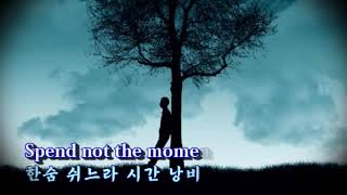 [Praise Song] Flee As A Bird(새처럼 자유롭게) - Cynthia Clawson (영어, 한글자막 English \u0026 Korean captions)