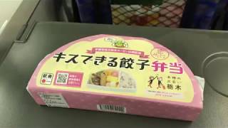 宇都宮駅の駅弁「キスできる餃子弁当」を総武線快速の車内で開封！