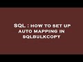 SQL : how to set up auto mapping in sqlbulkcopy
