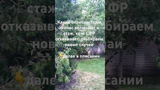 ❗️ Какие периоды суды сейчас включают в стаж, хотя СФР отказывает: разбираем 👇далее в описании