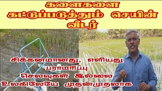 களைகளை கட்டுபடுத்த எளிய செயின் வீடர் Chain weeder to control paddy weeds