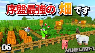 【06】効率のいい畑の作り方！序盤から作れます！【初心者向けのマインクラフト】