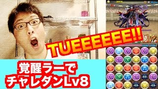 覚醒ラーを使ってみよう！【チャレンジダンジョンLv8】回復無し　パズドラ　じゃじゃーん菊池