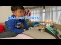 子猫の帰宅後の反応は？！【ちゃこＴＵＢＥ】デイタイムルーティン【サイベリアン】猫と子ども【猫のお留守番】生後もうすぐ四か月【子猫の昼間】