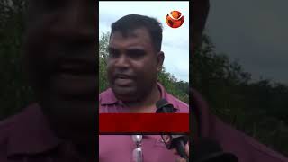 অবৈধভাবে মাটি ও গাছ কাটায় হুমকিতে হবিগঞ্জের রূপাইছড়া পাহাড় | #Channel24 #Channel24_news