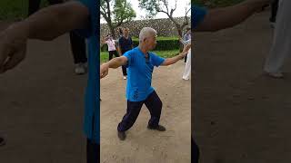 周青傳老師-九九式太極拳85落步左劈面掌