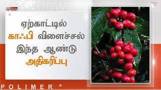 ஏற்காட்டில் காஃபி விளைச்சல் இந்த ஆண்டு அதிகரிப்பு | #CoffeeTree #Yercaud